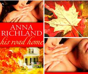 HIS ROAD HOME is nominated for Best Novella of 2014 by Romance Writers of America!